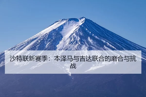 sha-te-lian-xin-sai-ji-ben-ze-ma-yu-ji-da-lian-he-de-mo-he-yu-tiao-zhan-2-428.jpg