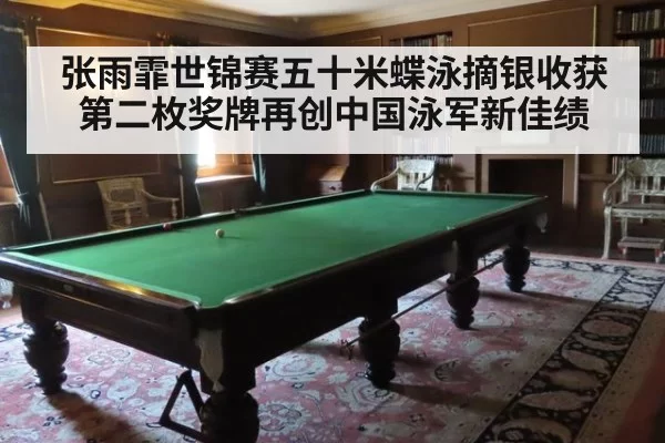 张雨霏世锦赛五十米蝶泳摘银收获第二枚奖牌再创中国泳军新佳绩