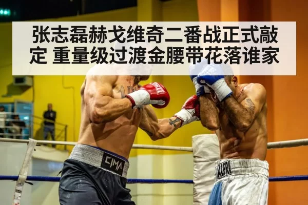 张志磊赫戈维奇二番战正式敲定 重量级过渡金腰带花落谁家